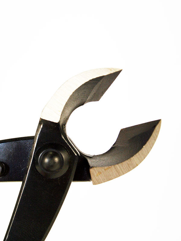 Pince concave pour bonsaï 205 mm