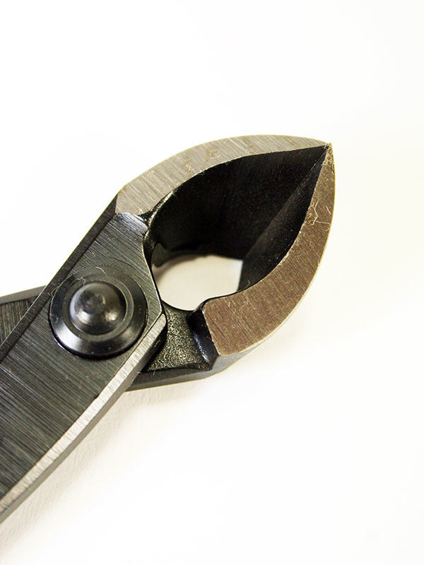 Pince concave pour bonsaï 170 mm