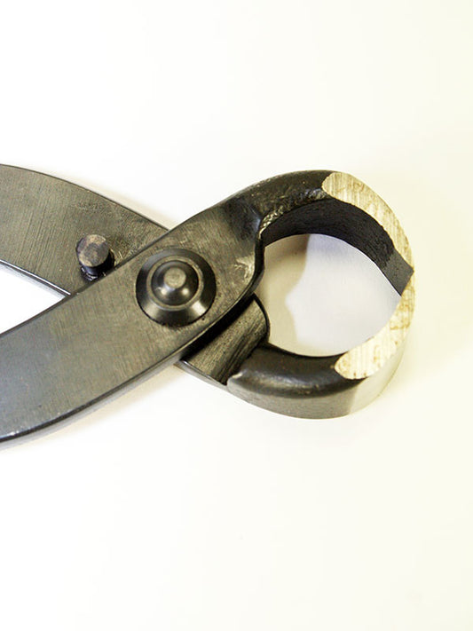 Pince à racines de bonsaï 210 mm