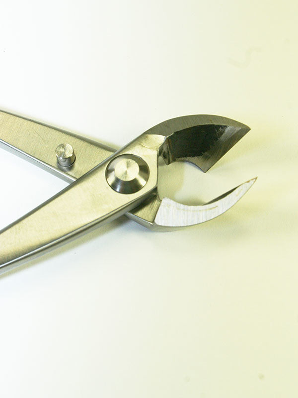 Pince concave pour bonsaï en acier inoxydable 180 mm