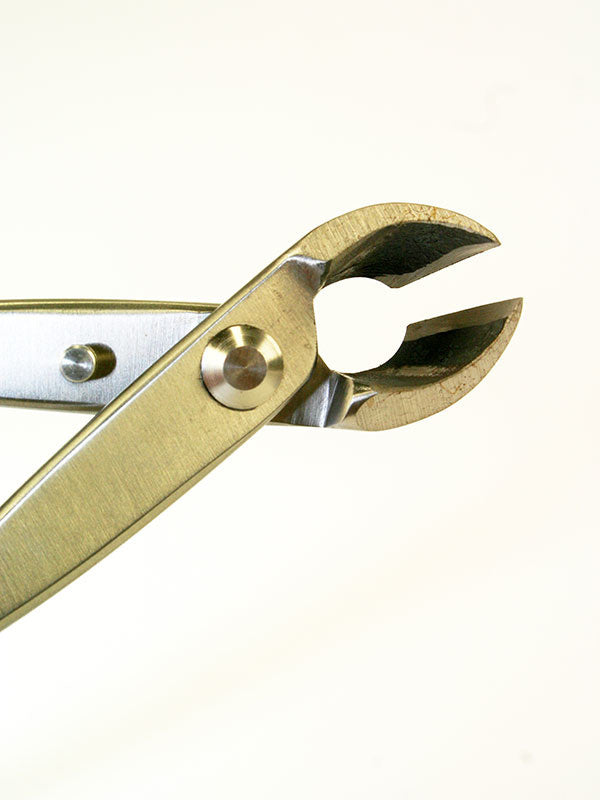 Pince concave pour bonsaï - Sphérique en acier inoxydable 180 mm