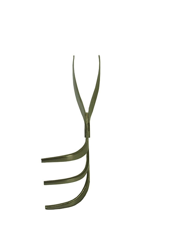 Pince à bonsaï et râteau