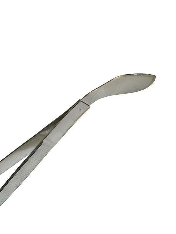 pince à bonsaï et spatule