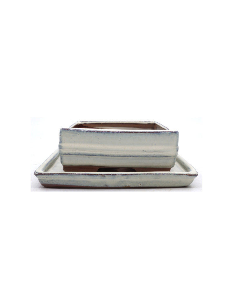 Bonsai pot creme lijn rechthoek 15.5cm - set