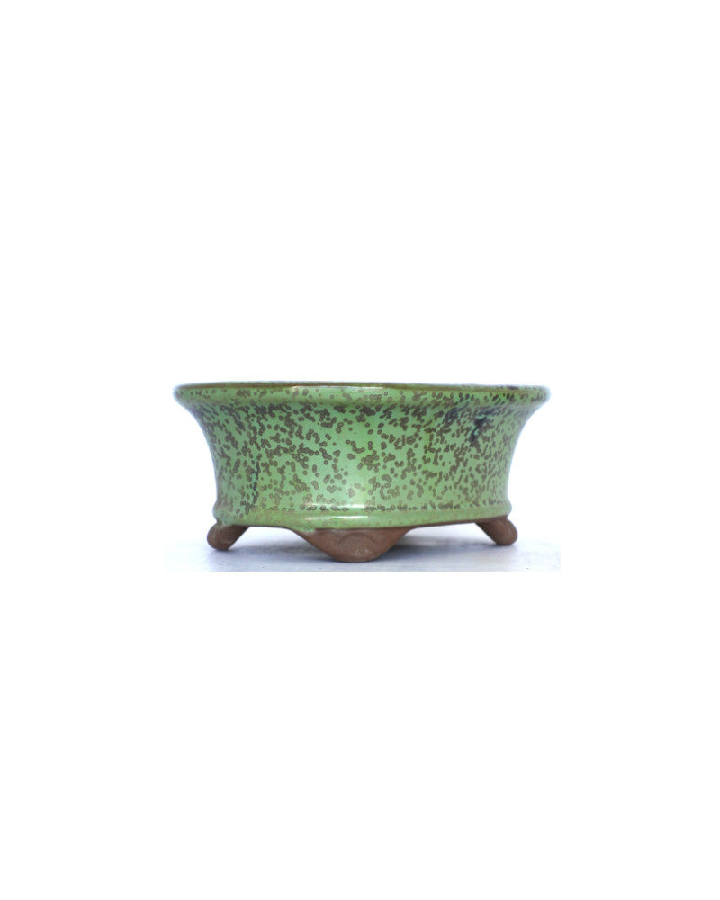 Bonsai pot groen met spikkels ovaal 16cm