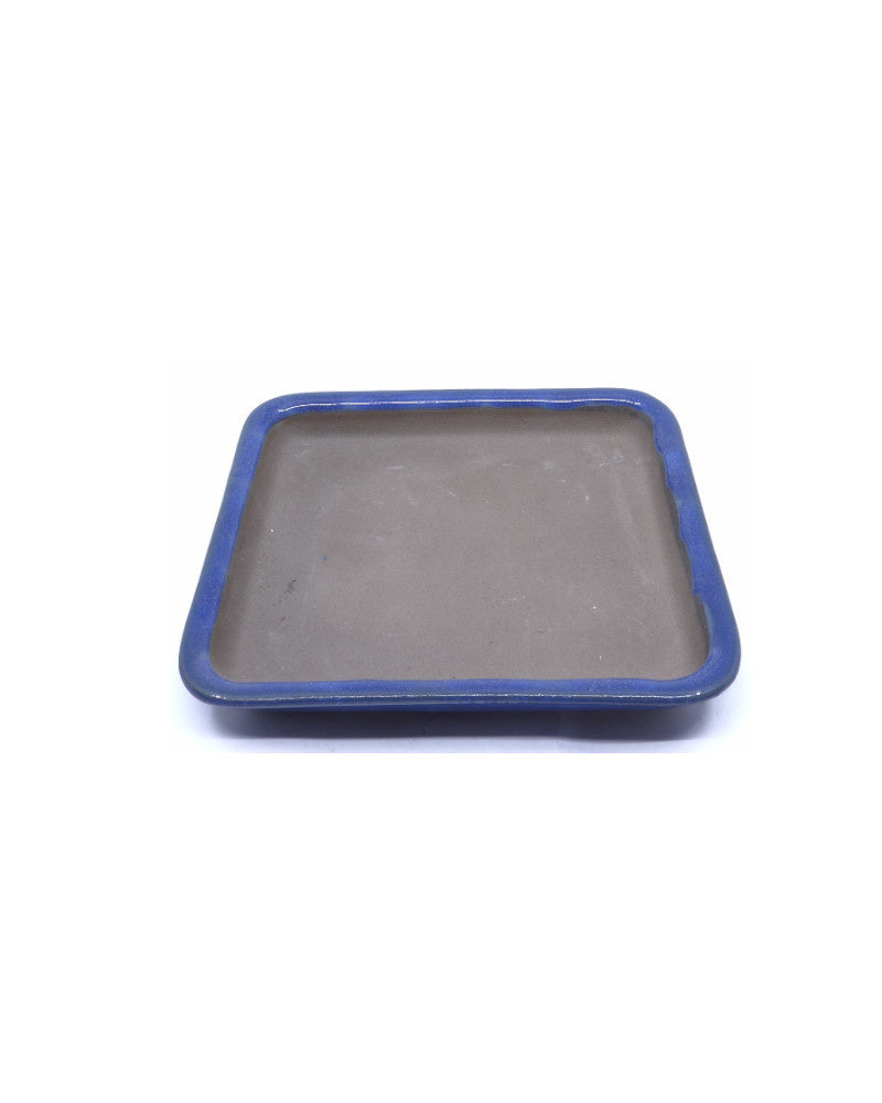 Pot à bonsaï rectangulaire bleu clair 13 cm - lot