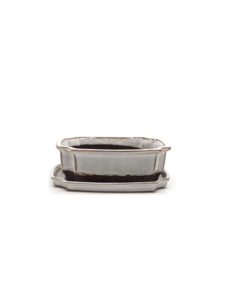 Bonsai pot wit mokko 15cm - set