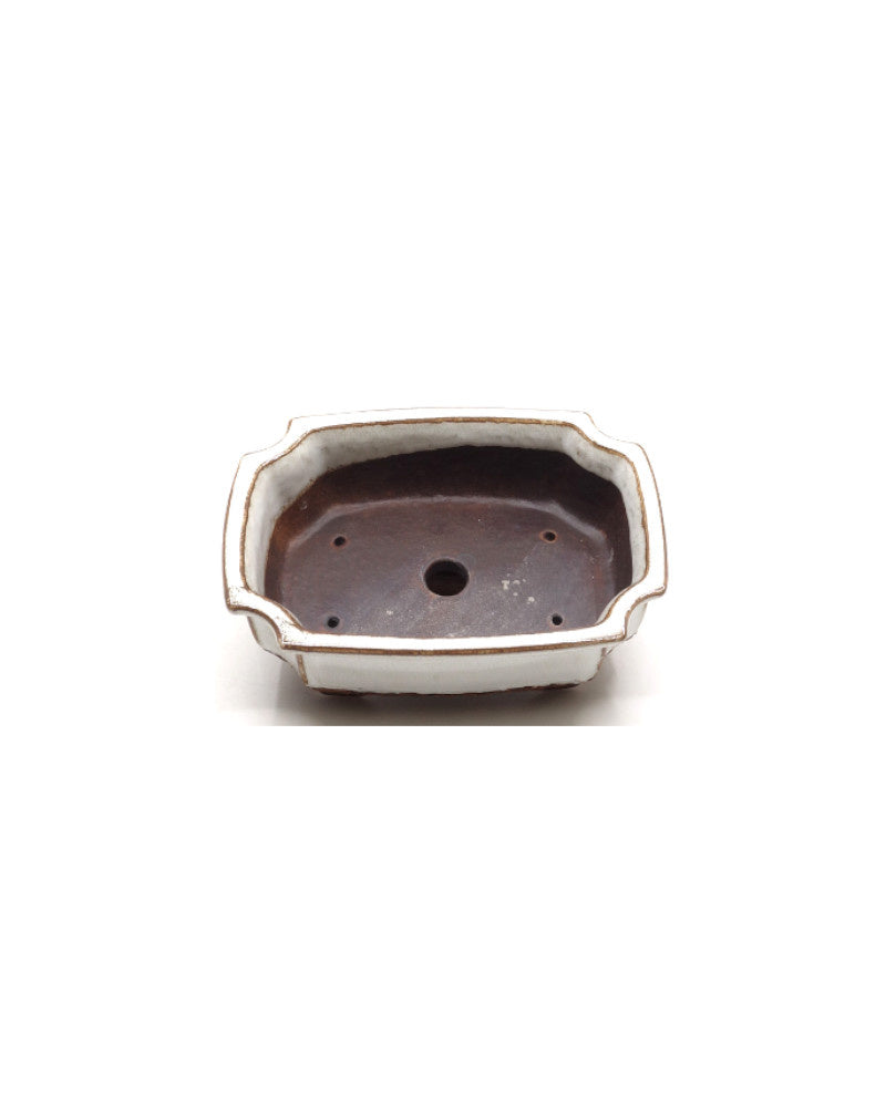 Bonsai pot wit mokko 15cm - set