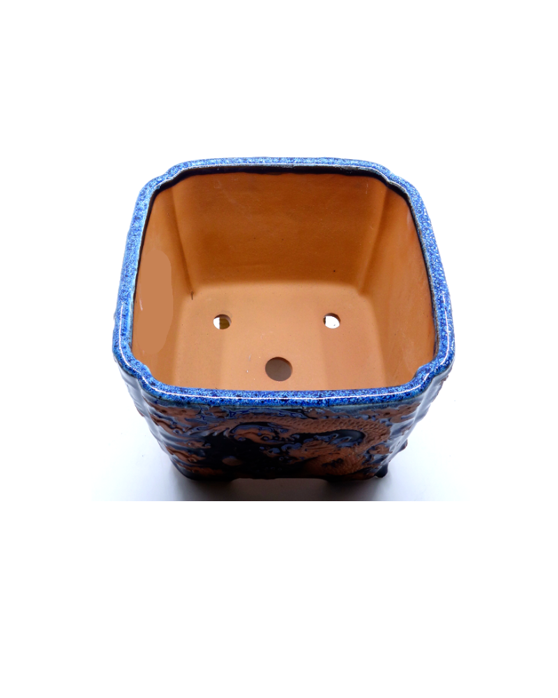 Bonsai pot blauw draak vierkant 21cm