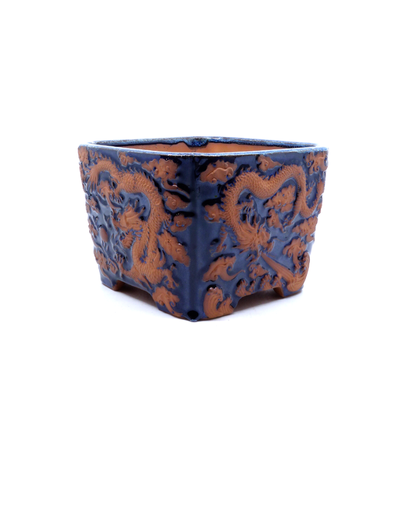 Bonsai pot blauw draak vierkant 21cm