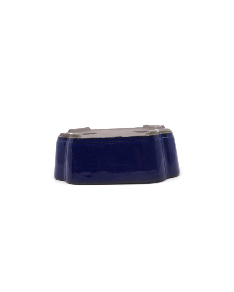 Bonsai pot blauw lotus 18cm