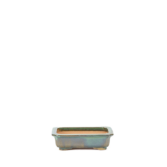 Pot à bonsaï mokko vert 17 cm