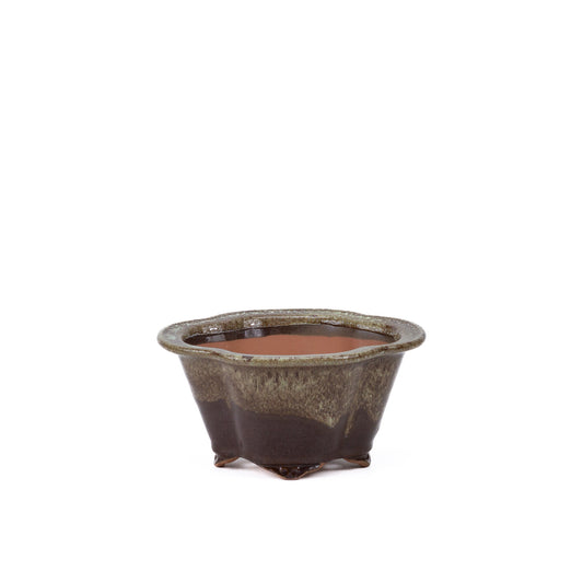 Pot à bonsaï chrysanthèmes brun beige 15,5 cm