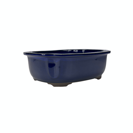 Pot à bonsaï bleu mokko 24 cm