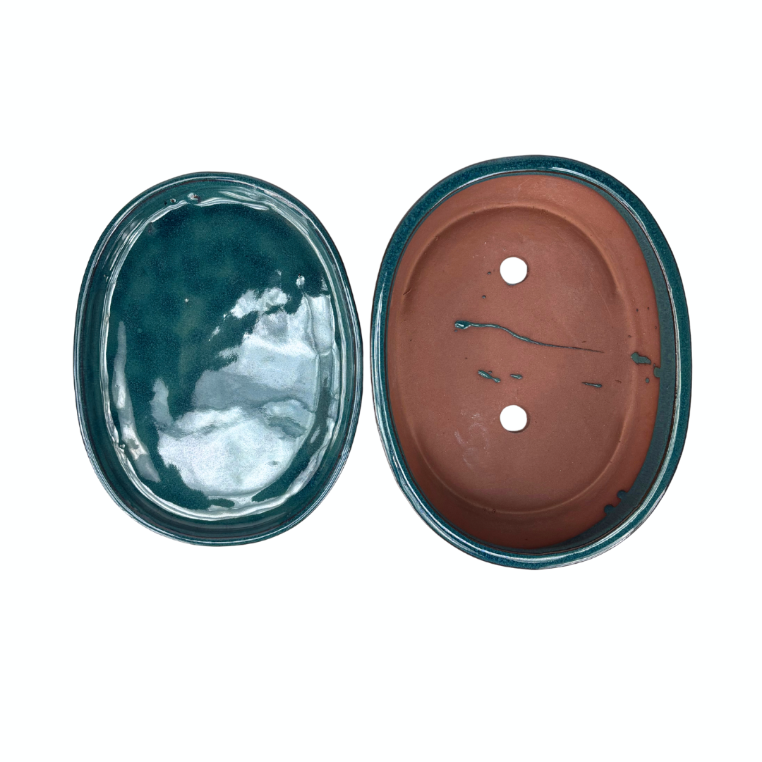 Bonsai pot groen ovaal 16cm - set