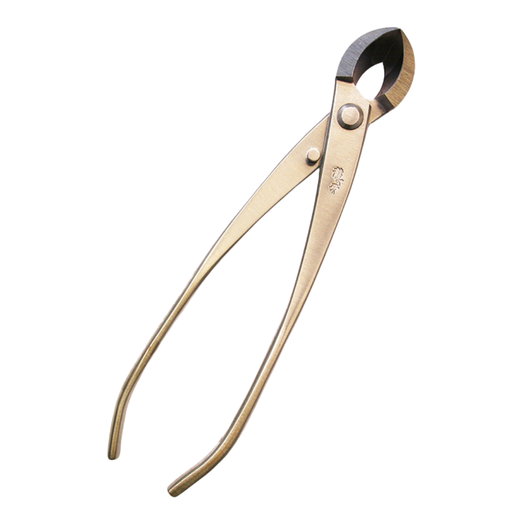 Pince concave Bonsai Ryuga - Sphérique en acier inoxydable 205 mm