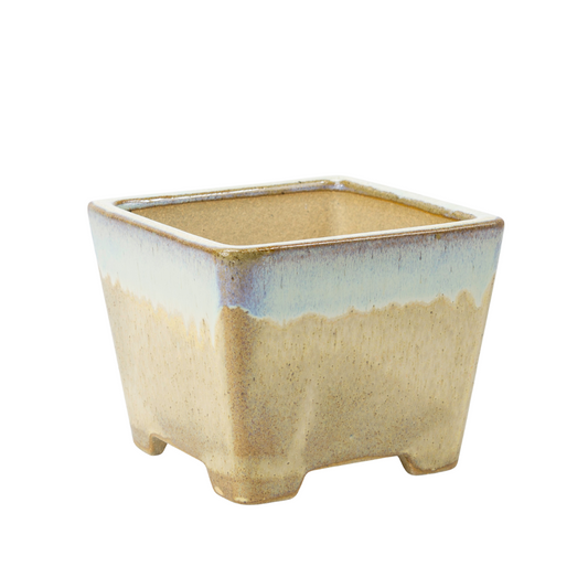 Pot à bonsaï beige carré semi-cascade 13,7 cm