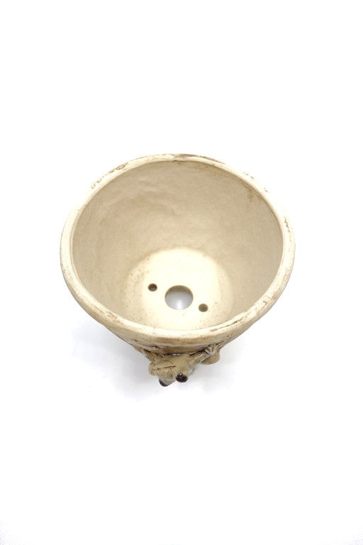 Pot à bonsaï Shohin beige rond 7cm