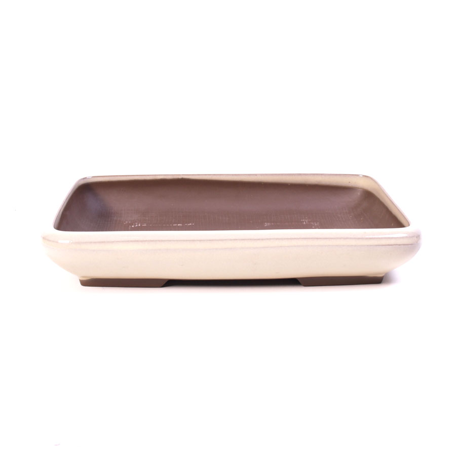 Bonsaischale Creme rechteckig 15,5cm