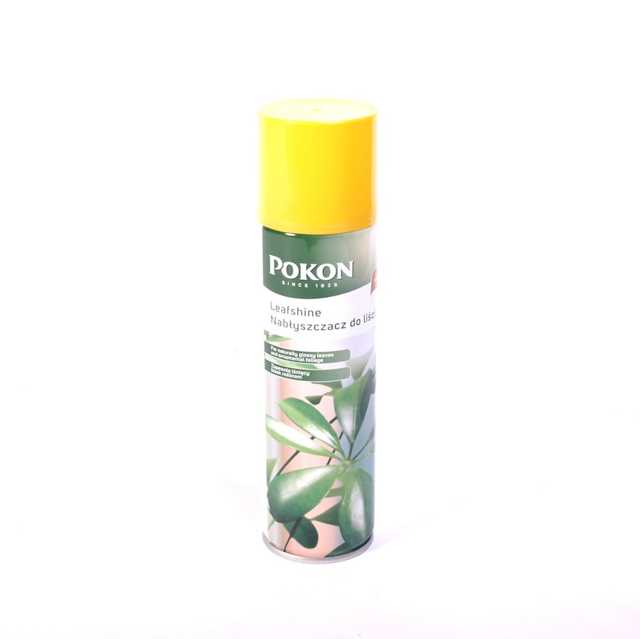 Pokon Leafshine spray