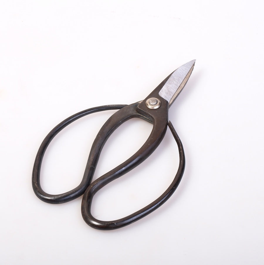 Bonsaischere breit, Basic-Qualität, 180mm