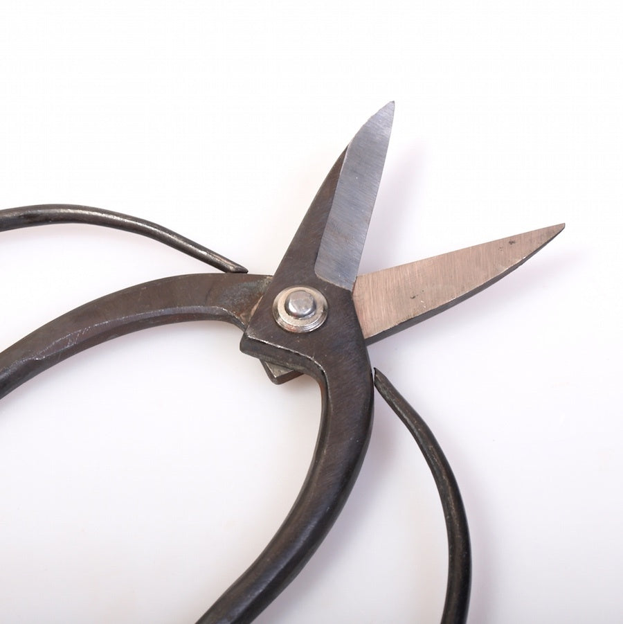 Ciseaux à bonsaï larges, qualité basique, 180 mm