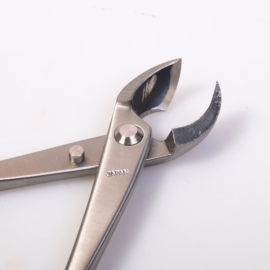 Pince concave 200 mm double ronde, acier inoxydable de qualité supérieure japonaise