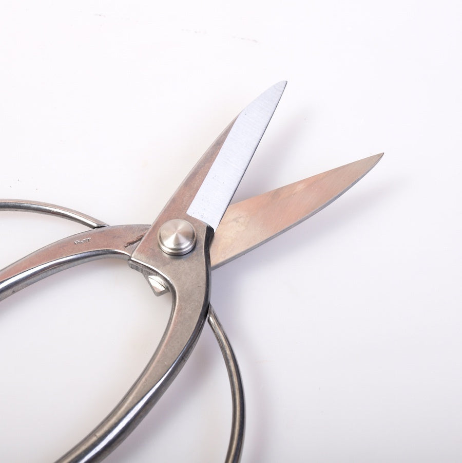 Cisaille à racines et à branches 200 mm, acier inoxydable, qualité japonaise supérieure
