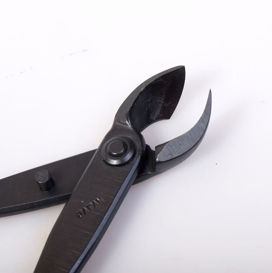 Pince concave 170 mm, double ronde, qualité japonaise carbone