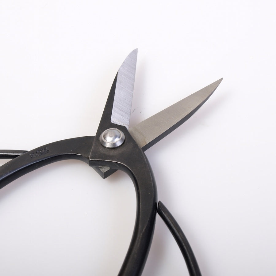 Cisaille à racines 185 mm carbone