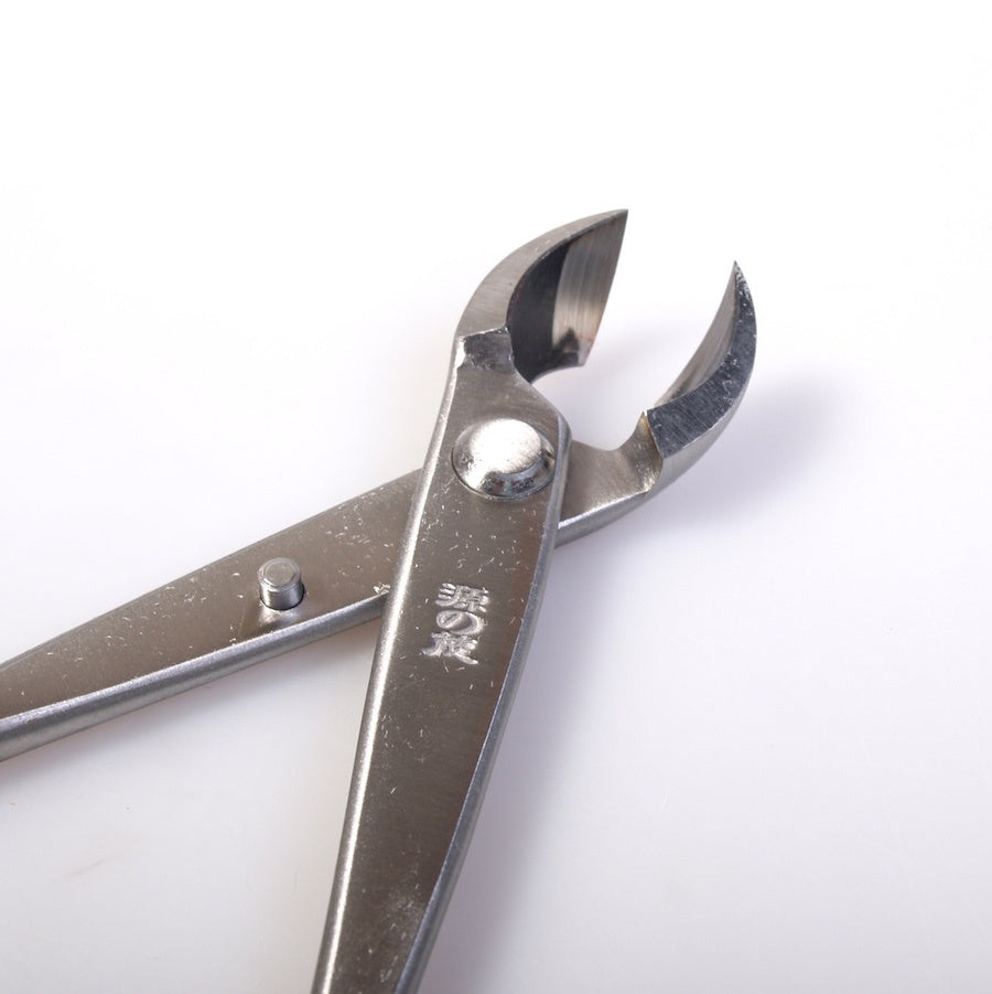 Pince concave double ronde 210 mm en acier inoxydable