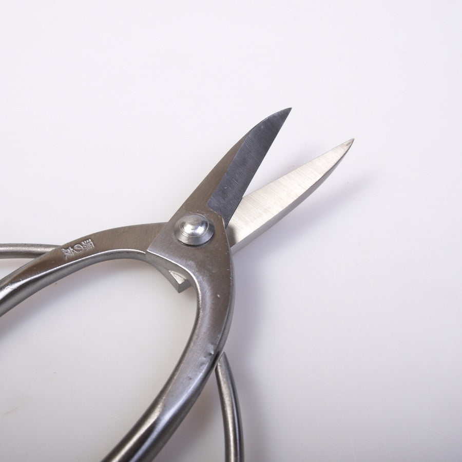 Cisaille à racines 180 mm en acier inoxydable