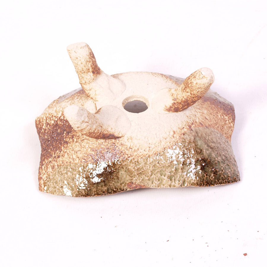 Coquille non émaillée avec pattes vert-brun