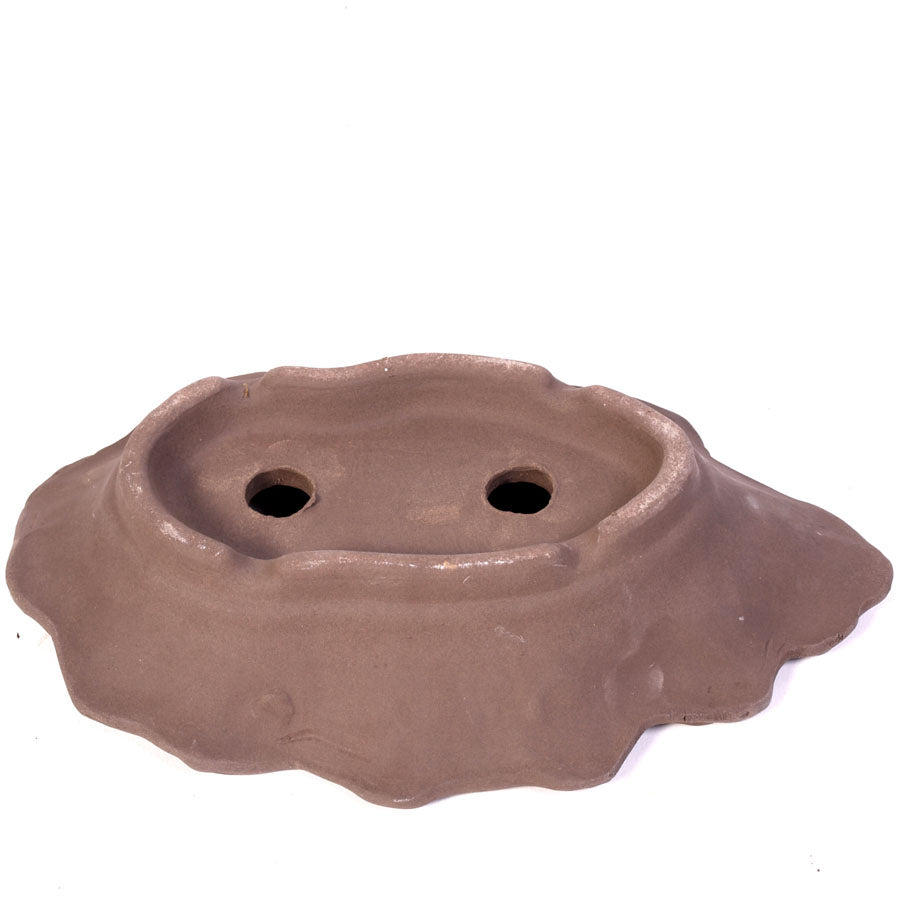 Bac à bonsaï brun ovale en forme de coquillage 26,5 cm