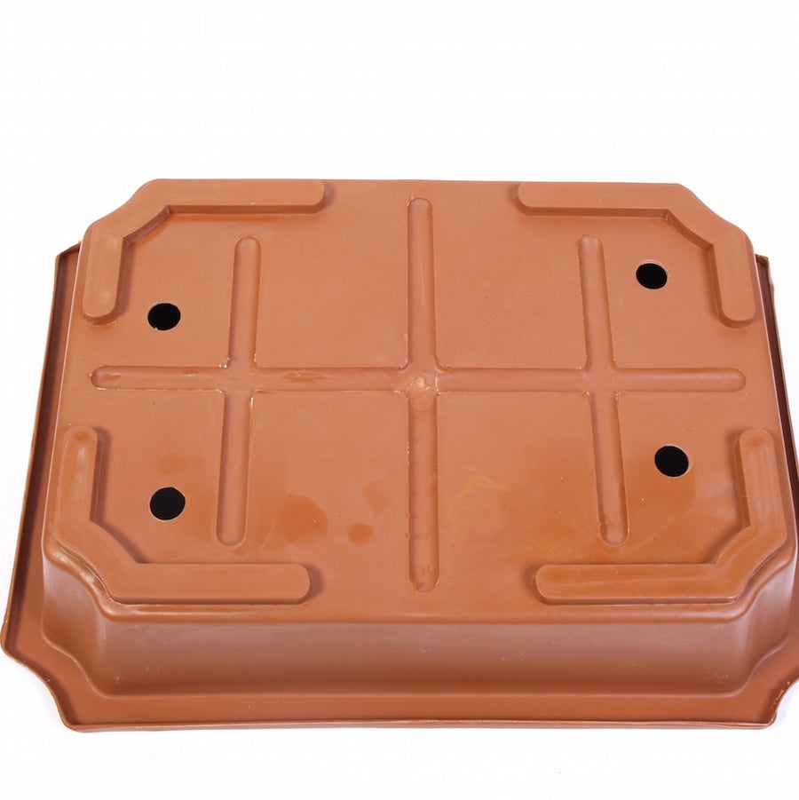 Rectangular training bowl, terracotta color, 56 cm