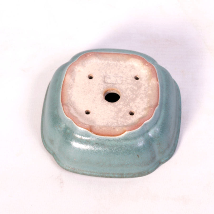 Pot à bonsaï carré bas, vert 11 cm