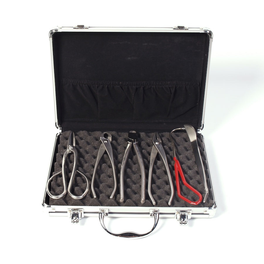 6-piece tool case, Japanese top-quality stainless steel