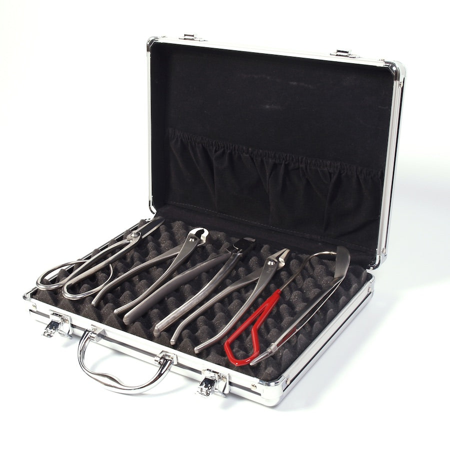 6-piece tool case, Japanese top-quality stainless steel