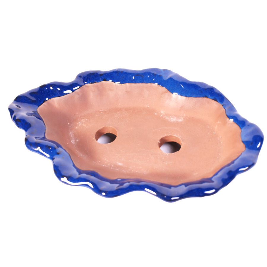 Pot à bonsaï en forme de coquillage bleu 26 cm