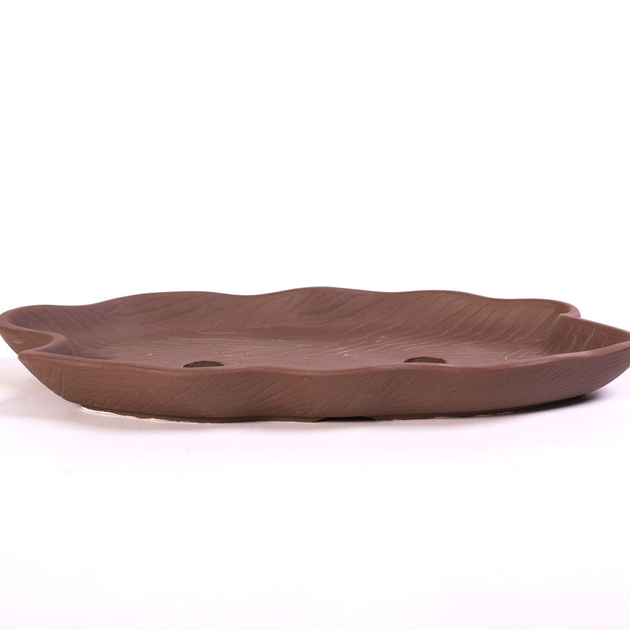 Bonsaischale muschelförmig unglasiert 34 cm