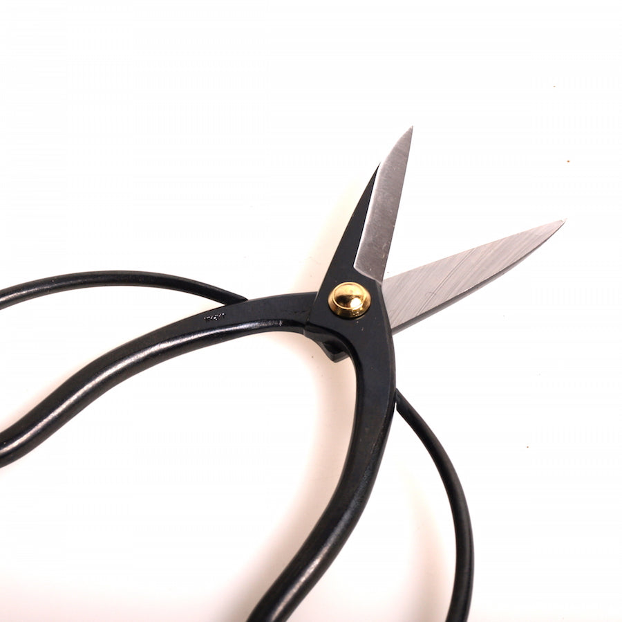 Wortel- en Takkenschaar 180mm, Carbon Japanse topkwaliteit