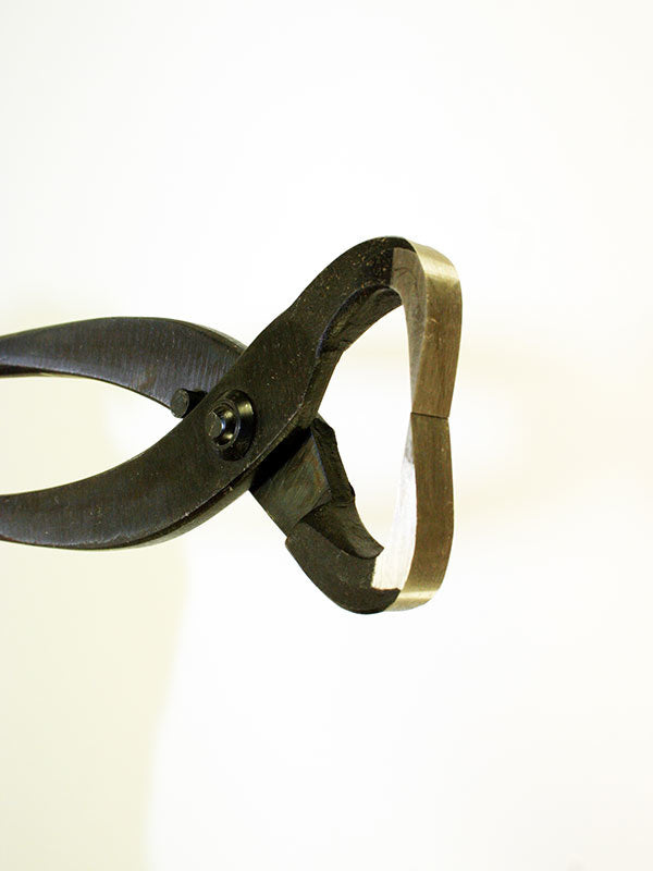 Séparateur de tronc de bonsaï 270 mm