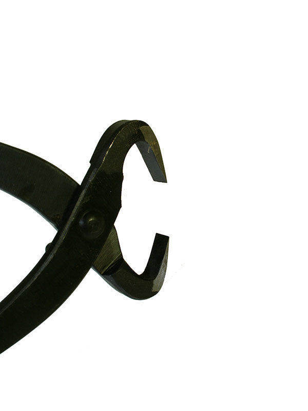 Séparateur de tronc de bonsaï 270 mm