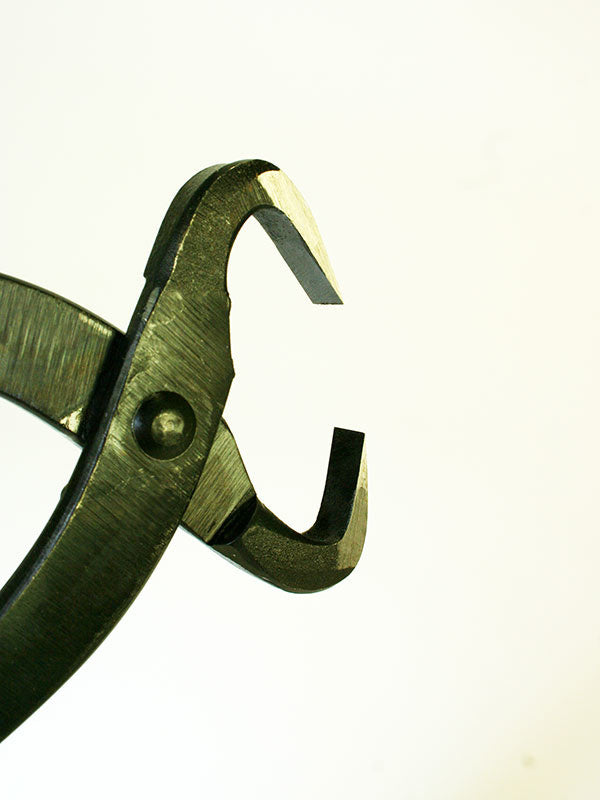 Séparateur de tronc de bonsaï 270 mm