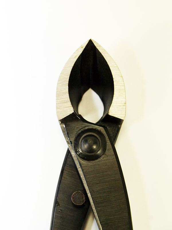 Pince concave pour bonsaï 205 mm