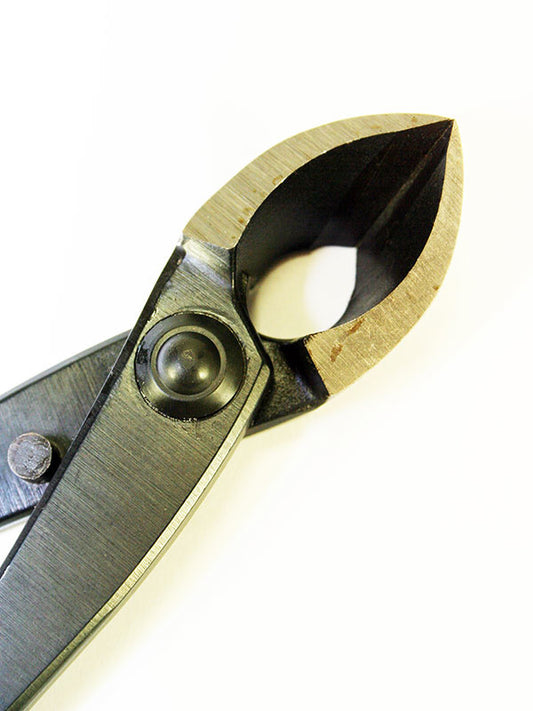 Pince concave pour bonsaï 205 mm