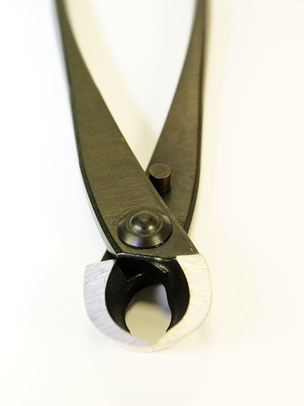 Pince concave pour bonsaï 205 mm