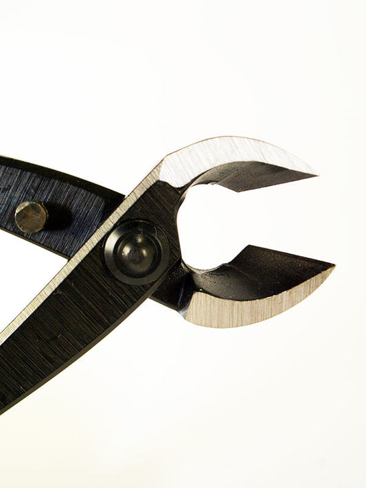Pince concave pour bonsaï 170 mm