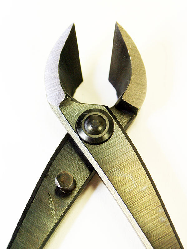 Pince concave pour bonsaï 170 mm