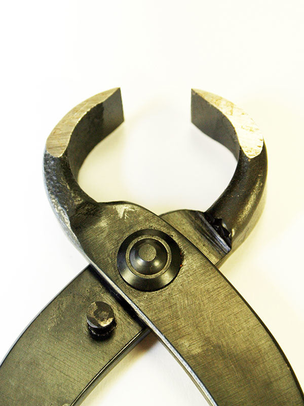 Pince à racines de bonsaï 210 mm
